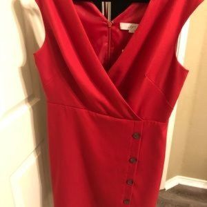 Loft dress- NEW
